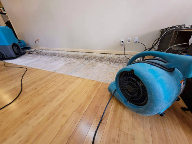 Professional Structural Drying technician working in Chestnut Hill, MA